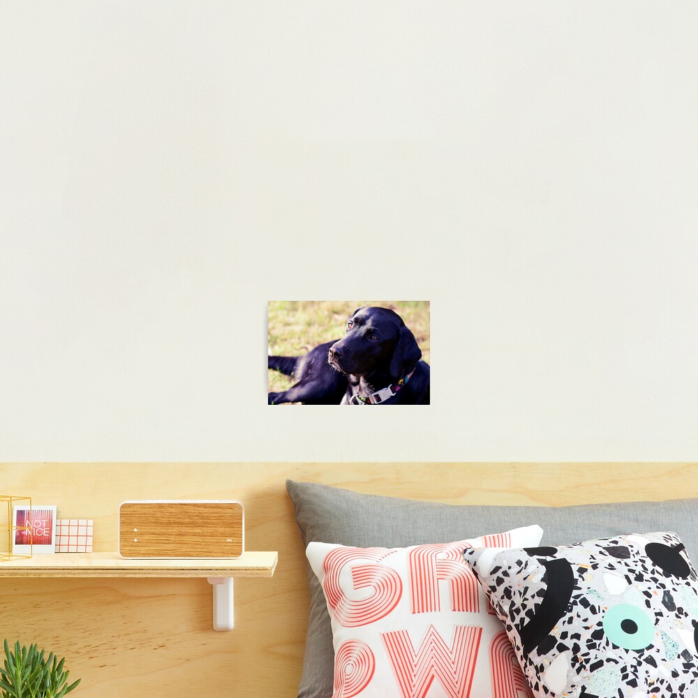 Item preview, Photographic Print designed and sold by iltby.