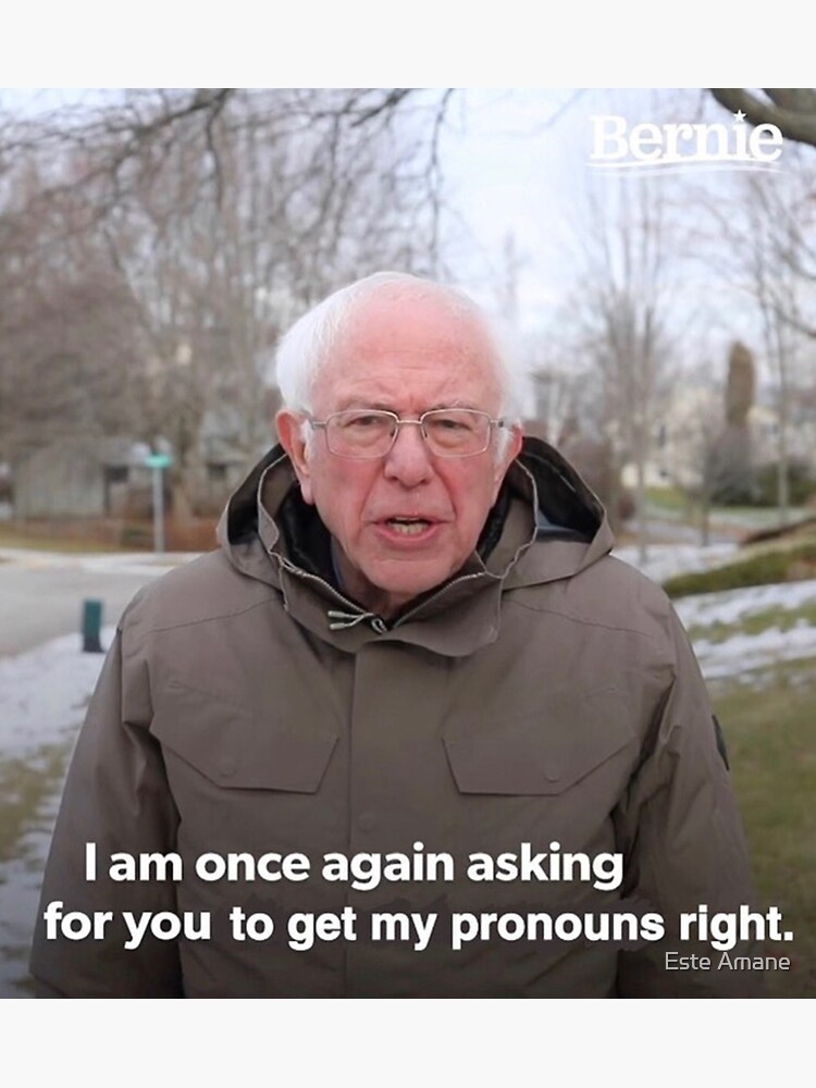 Bernie Sanders Meme - Get My Pronouns Right by madalynwilliams