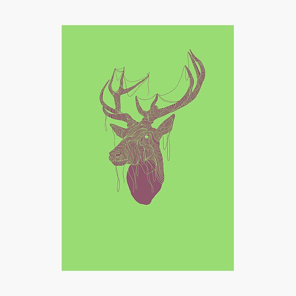 The Deer Head Photographic Print