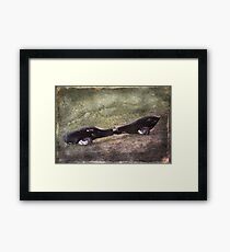 love of skateboards Framed Print