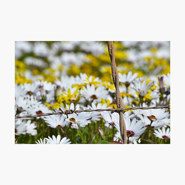 Item preview, NATURE's BEAUTY  VS MAN's HARSHNESS designed and sold by DeoVolente.