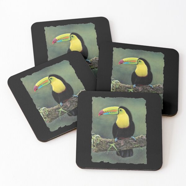 Item preview, Keel-Billed Toucan designed and sold by Heathermarie321.