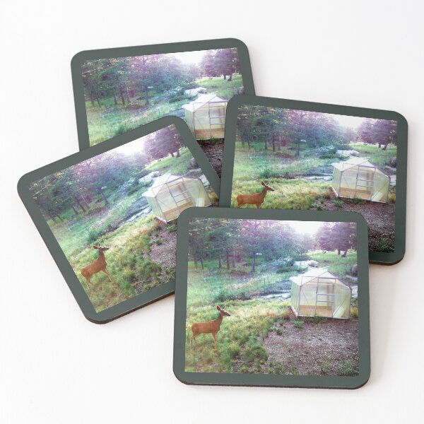 Item preview, Summer Morning, After the Rain: Evergreen, Colorado designed and sold by 21feathers.