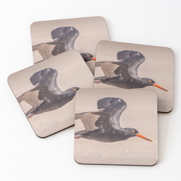 Item preview, Sooty Oystercatcher in Australia designed and sold by Ozjanette90.
