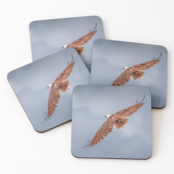 Item preview, Brahmini Kite in Queensland Australia designed and sold by Ozjanette90.