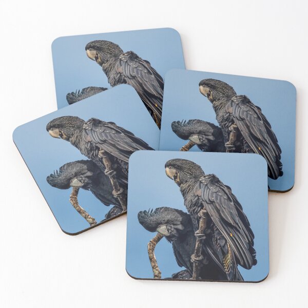 Item preview, Red-tailed Black-cockatoos designed and sold by Ozjanette90.