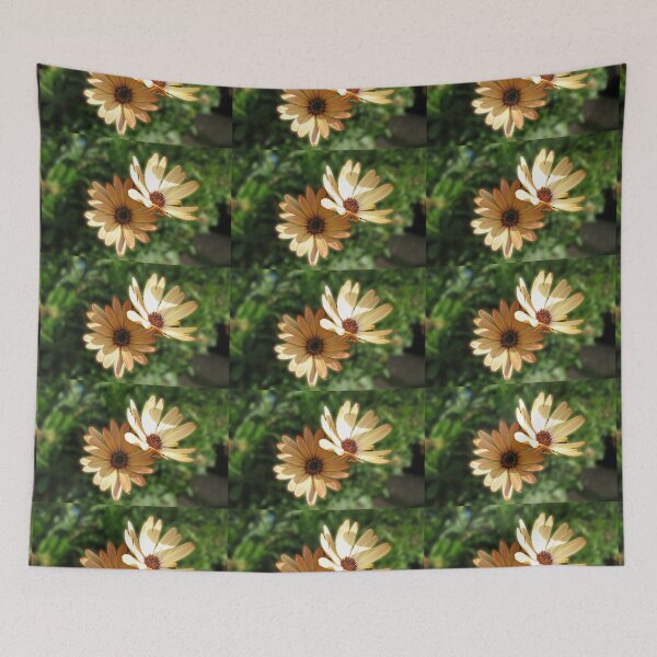 Item preview, Peach Cape Daisies  designed and sold by BlueMoonRose.