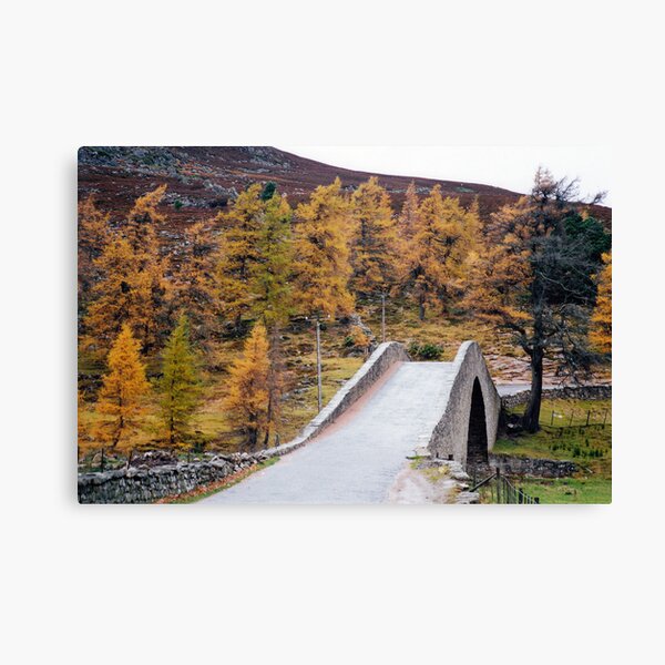 Item preview, The "Ski Jump" designed and sold by GreenPeak.