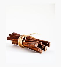 Cinnamon sticks Photographic Print