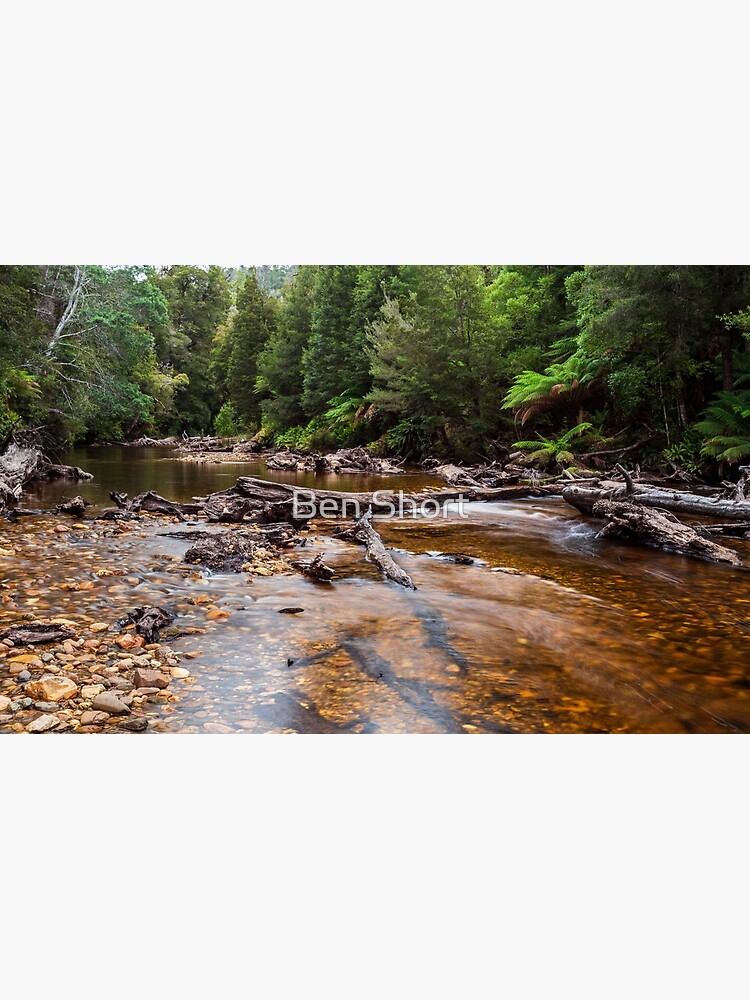 Styx River - Tasmania by bcshort