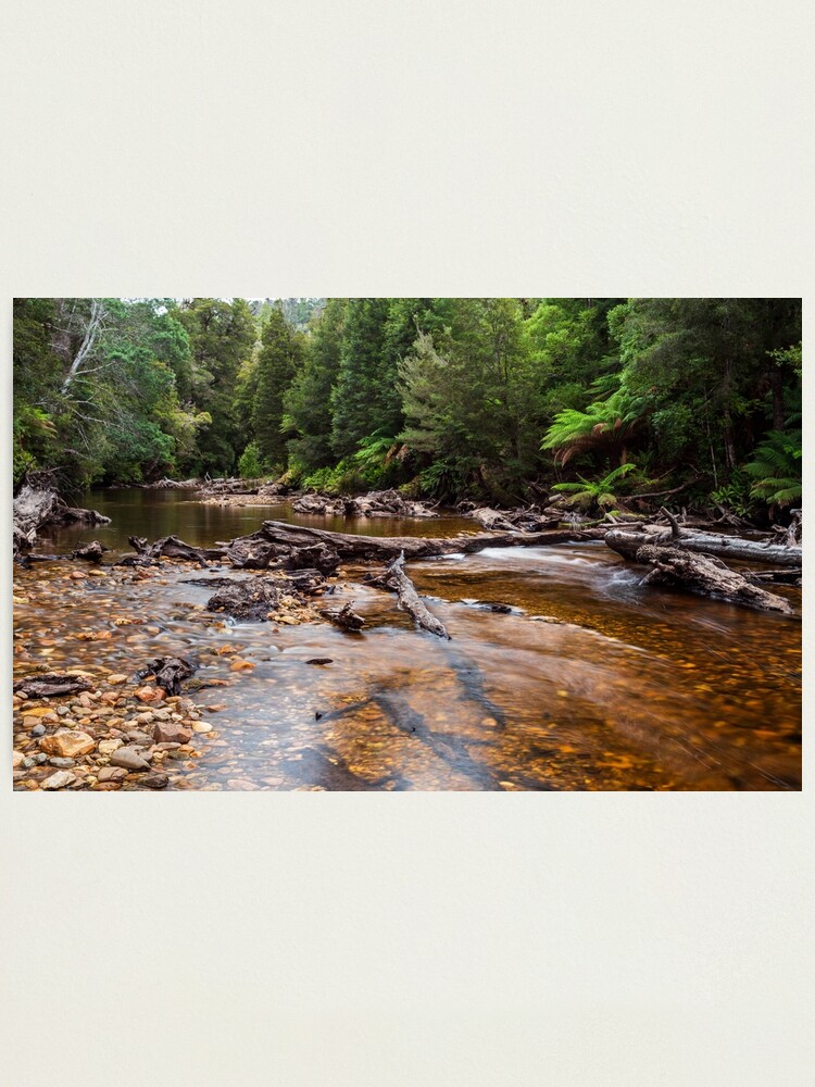 Alternate view of Styx River - Tasmania Photographic Print