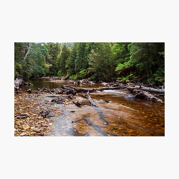 Styx River - Tasmania Photographic Print