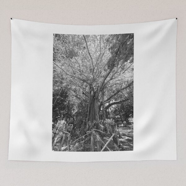Item preview, Bodie Moon tree designed and sold by Polum2.