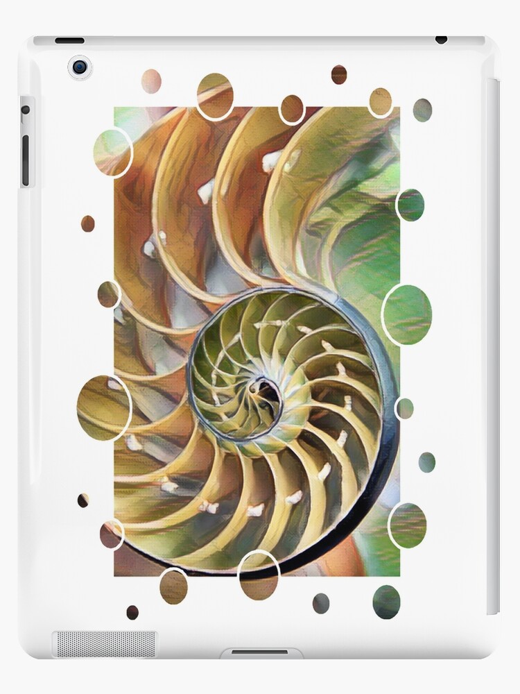 Nautilus Shell Spiral Design Ipad Case Skin By Heathermarie321 Redbubble