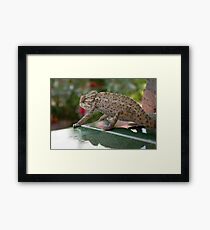 Don't Look Down Framed Print