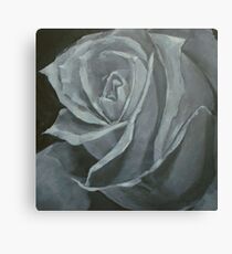 stone rose Canvas Print