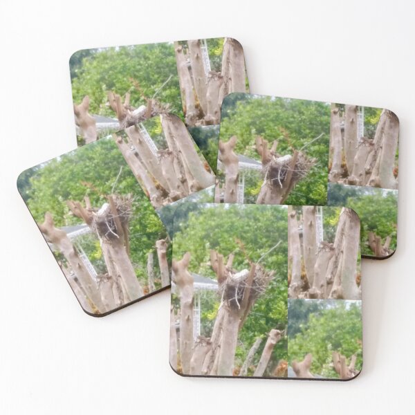 Item preview, Three little white! designed and sold by ClearwaterLewis.