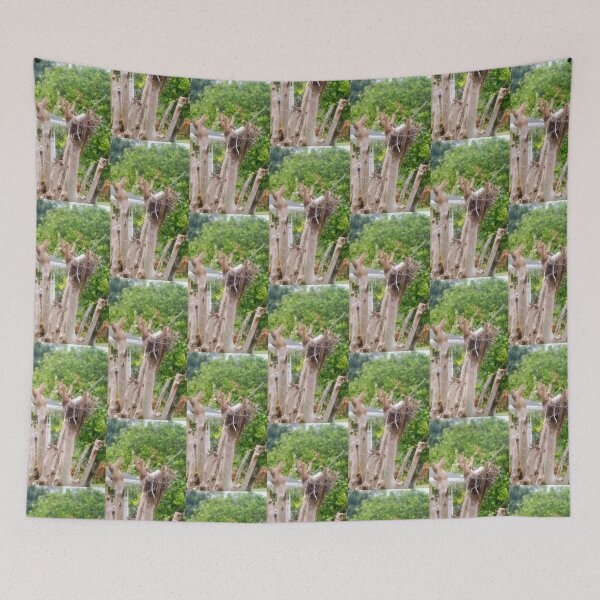 Item preview, Three little white! designed and sold by ClearwaterLewis.