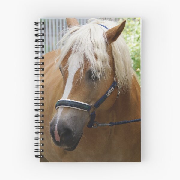 Item preview, Haflinger designed and sold by Jaycee2009.