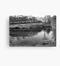 Pathway to the Emerald forrest Canvas Print