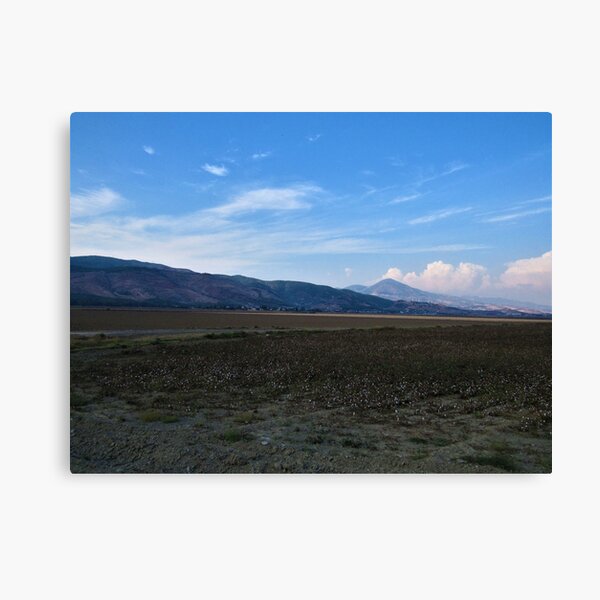 Cotton Field to Nur Mountains Canvas Print