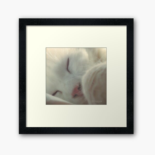 While he is Sleeping Framed Art Print