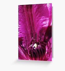 Clematis Crown Greeting Card