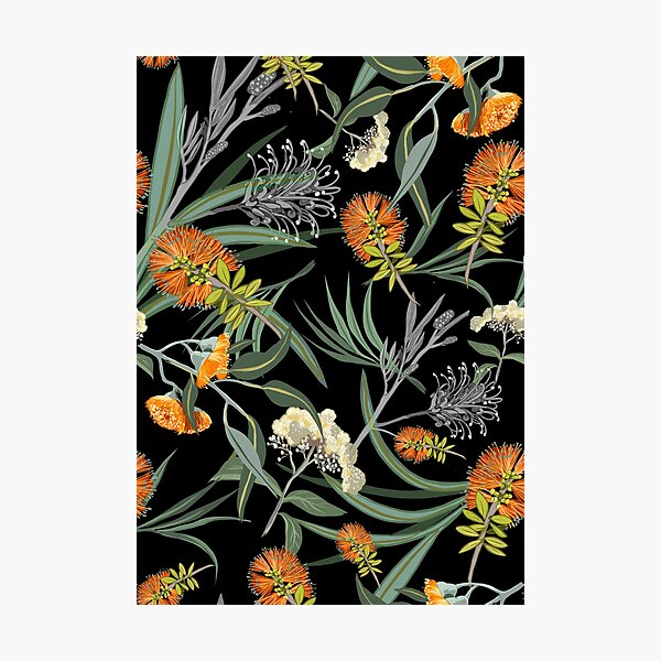 Item preview, Botanical Australian natives flora, orange, pattern, boho, banksia designed and sold by chrissyink.