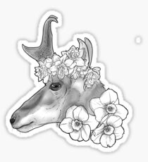 Beautifully Endangered - Pronghorn Sticker