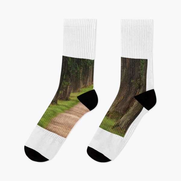 Item preview, beautiful greenery all around  designed and sold by Mahesh  Tolani.