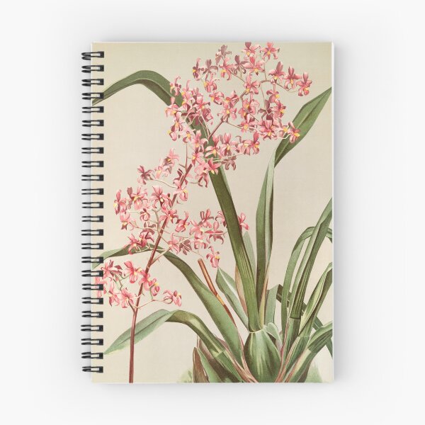 Item preview, Pink Vintage Orchids 1800s designed and sold by pennyandhorse.