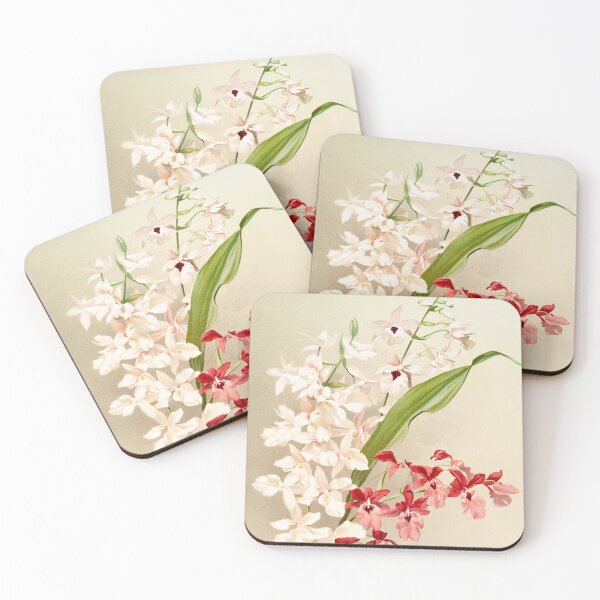Item preview, White Pink Vintage Orchids 1800s designed and sold by pennyandhorse.
