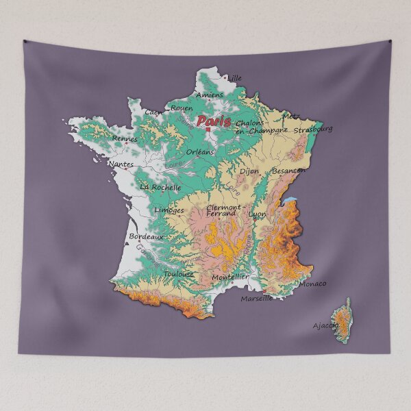 Item preview, map of FRANCE with relief topographic map of FRANCE with Major cities and Rivers Grape Compote background designed and sold by mashmosh.