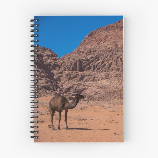 Item preview, Peaceful Desert designed and sold by Rae Tucker Photography & Designs.