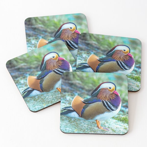 Item preview, Male Mandarin duck in the UK designed and sold by Itsgrimupnorth.