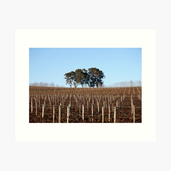~ Hills Vines ~ Art Print