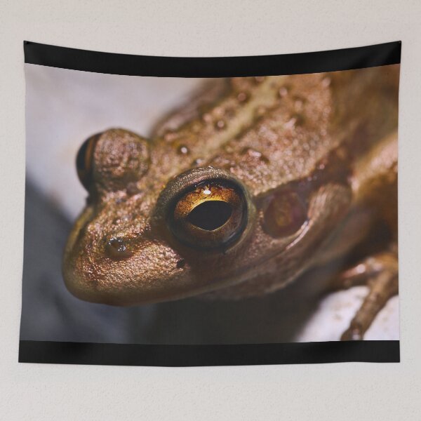 Item preview, A Macro Of The Eye Of A Motorbike Frog Frog Frogs designed and sold by Jason Gilbert.