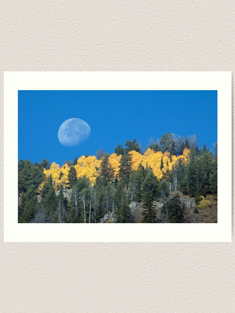 Alternate view of Moonset Over Fall Colors in Jackson Hole Art Print
