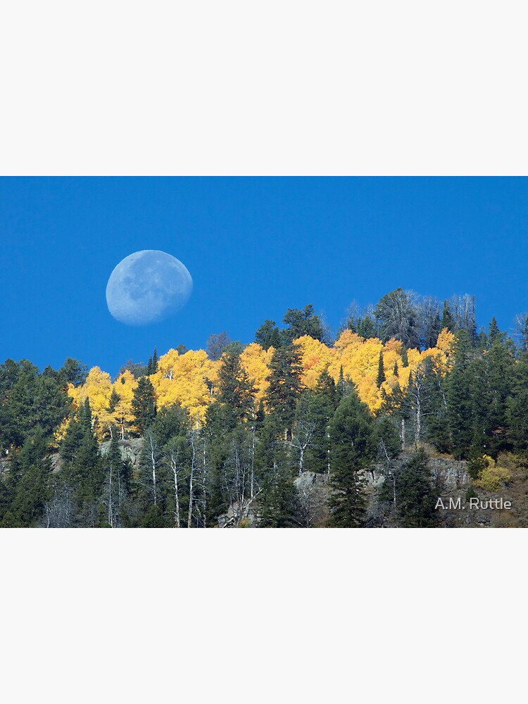 Moonset Over Fall Colors in Jackson Hole by annruttle