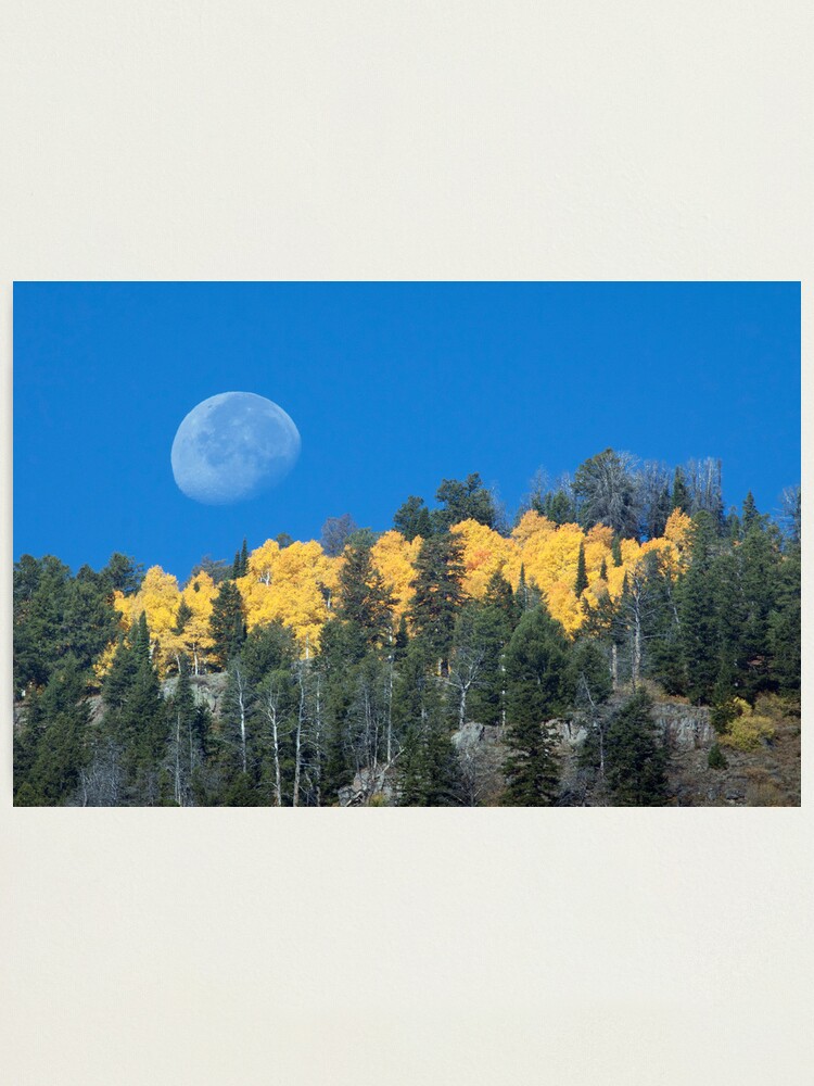 Alternate view of Moonset Over Fall Colors in Jackson Hole Photographic Print