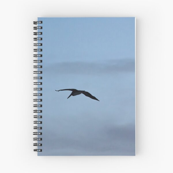 Item preview, Two Pelicans flying  designed and sold by Allen Penton.