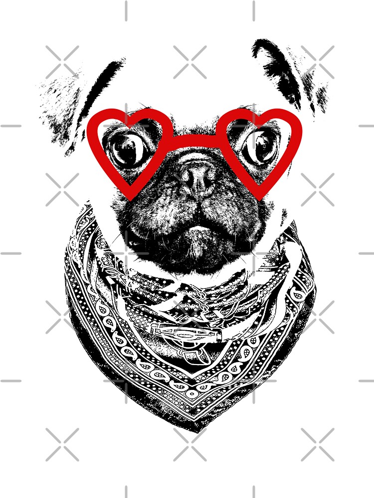 Pug fashion dog with glasses