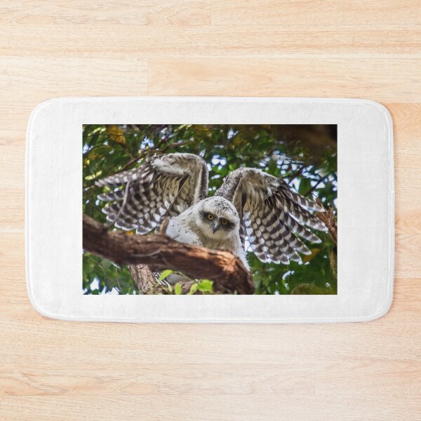 Item preview, Powerful Owl juvenile, (Ninox strenua), designed and sold by Normf.