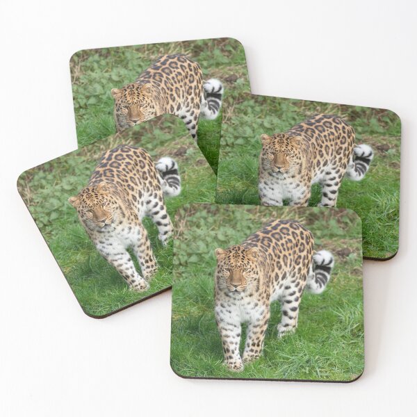 Item preview, Amur leopard designed and sold by Itsgrimupnorth.