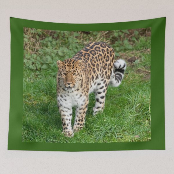 Item preview, Amur leopard designed and sold by Itsgrimupnorth.