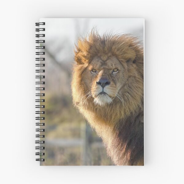 Item preview, Majestic male lion designed and sold by Itsgrimupnorth.