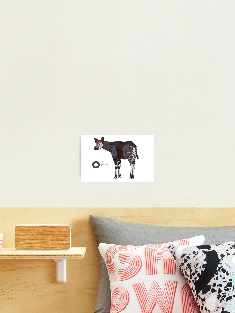 Funky Animal Alphabet: O is for Okapi Photographic Print for Sale by  abigailhausman