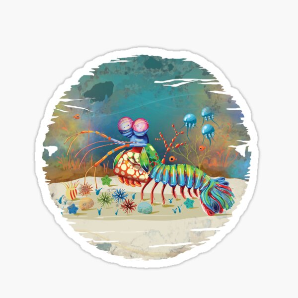 Peacock Mantis Shrimp Sticker