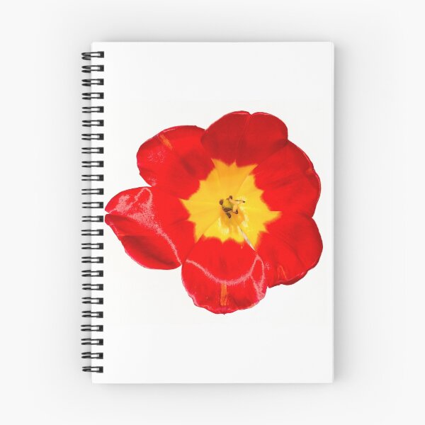 Item preview, Tulip designed and sold by novopics.