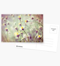 Extraordinary jungle...:On Explore Featured & 6 Featured Works & Permanent Featured Page Postcards